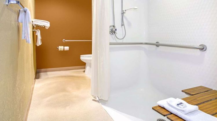 Microtel Inn & Suites by Wyndham Mason Room