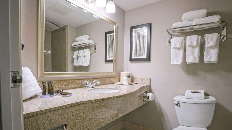 <b>Wingate by Wyndham Savannah Airport Room</b>. Images powered by <a href="https://iceportal.shijigroup.com/" title="IcePortal" target="_blank">IcePortal</a>.