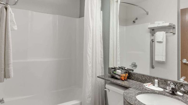 <b>Microtel Inn & Suites Hoover/Birmingham Room</b>. Images powered by <a href="https://iceportal.shijigroup.com/" title="IcePortal" target="_blank">IcePortal</a>.