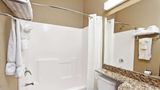Microtel Inn/Suites Woodstock/Atlanta N Room