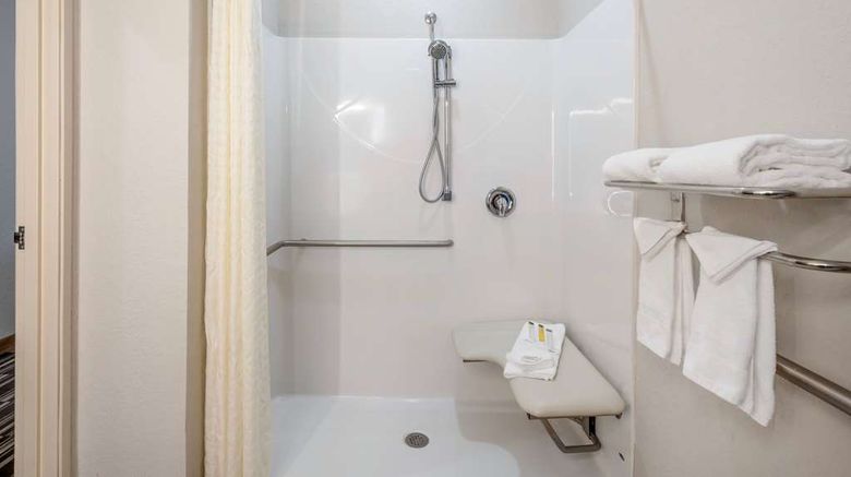 <b>Microtel Inn & Suites Brooksville Room</b>. Images powered by <a href="https://iceportal.shijigroup.com/" title="IcePortal" target="_blank">IcePortal</a>.