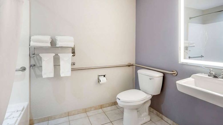 <b>Microtel Inn & Suites Brooksville Room</b>. Images powered by <a href="https://iceportal.shijigroup.com/" title="IcePortal" target="_blank">IcePortal</a>.