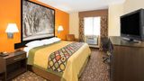 <b>Super 8 Clive/W Des Moines Room</b>. Images powered by <a href="https://iceportal.shijigroup.com/" title="IcePortal" target="_blank">IcePortal</a>.