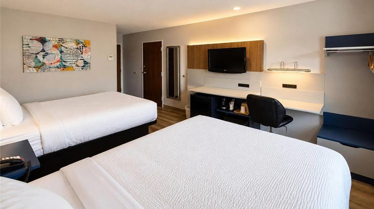 Microtel Inn & Suites by Wyndham Macon Room