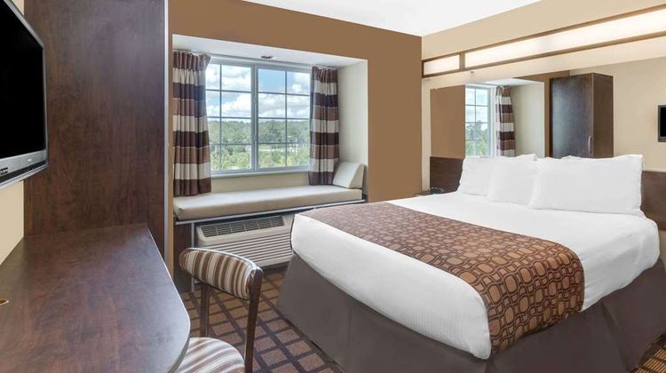 Microtel Inn & Suites by Wyndham Ozark Room