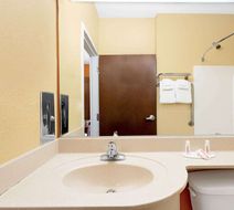 Microtel Inn/Suites Greenville/Univ Med Room