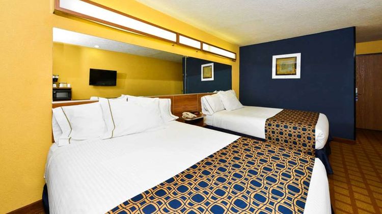 Microtel Inn & Suites New Braunfels Room