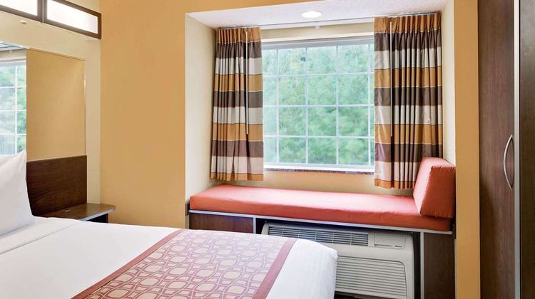 Microtel Inn & Suites Room