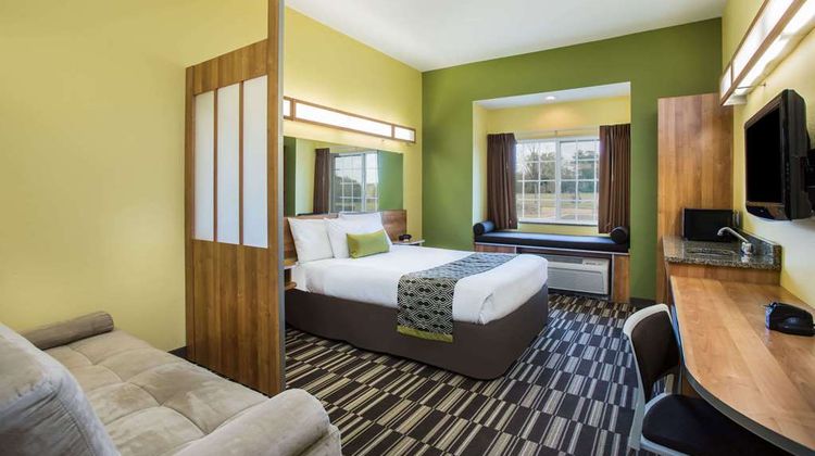 Microtel Inn & Suites by Wyndham Opelika Room