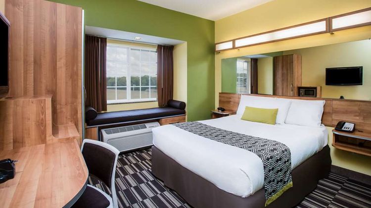 Microtel Inn & Suites by Wyndham Opelika Room