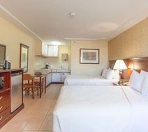 Days Inn Shenandoah Room