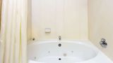 <b>Super 8 Freeport Room</b>. Images powered by <a href="https://iceportal.shijigroup.com/" title="IcePortal" target="_blank">IcePortal</a>.