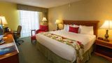 Ramada Plaza Waikiki Room