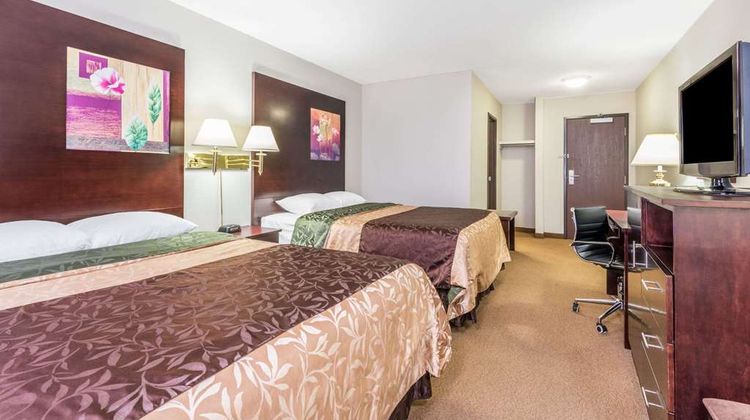 Super 8 Innisfail Room