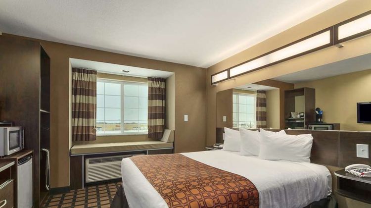 Microtel Inn & Suites by Wyndham Minot Room
