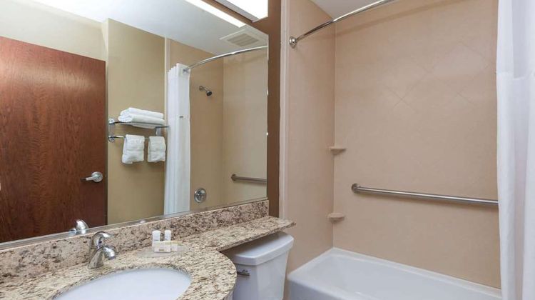 Microtel Inn & Suites  Wheeler Ridge Room