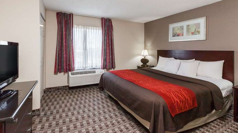 <b>Wingate by Wyndham Canton/Hall of Fame Room</b>. Images powered by <a href="https://iceportal.shijigroup.com/" title="IcePortal" target="_blank">IcePortal</a>.