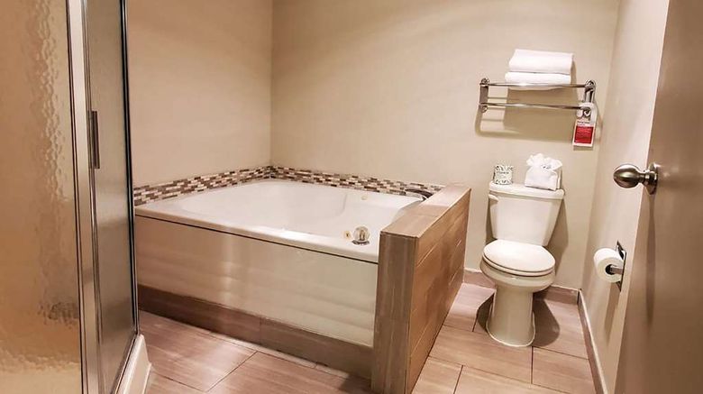 <b>Wingate by Wyndham Canton/Hall of Fame Room</b>. Images powered by <a href="https://iceportal.shijigroup.com/" title="IcePortal" target="_blank">IcePortal</a>.