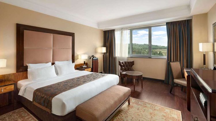 Ramada Plaza Gevgelija Room