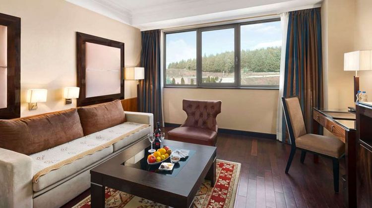 Ramada Plaza Gevgelija Suite