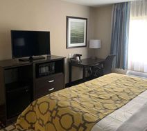 Baymont by Wyndham Albany Airport North Room