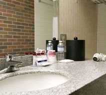 Ramada Lethbridge Room