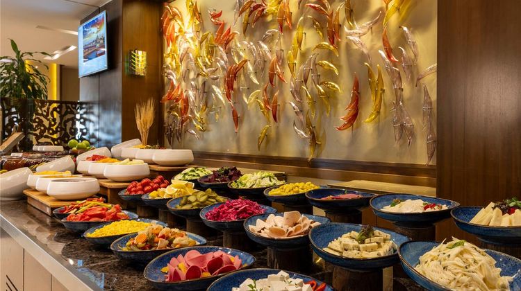 Ramada Plaza Istanbul Tekstilkent Restaurant