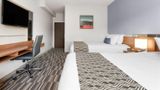 Microtel Inn & Suites by Wyndham Room