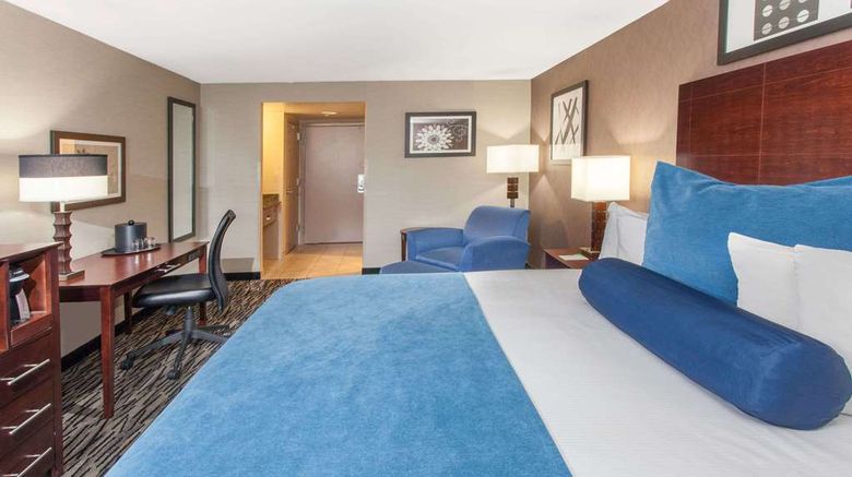 <b>Wyndham Garden Elk Grove Village/O'Hare Room</b>. Images powered by <a href="https://iceportal.shijigroup.com/" title="IcePortal" target="_blank">IcePortal</a>.
