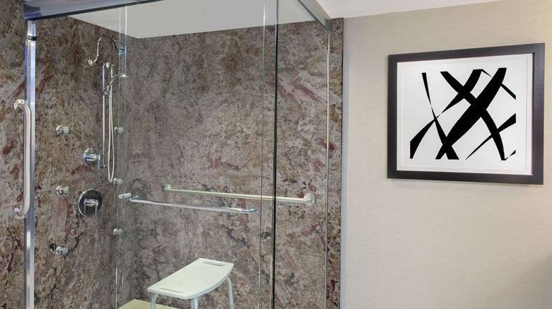<b>Wyndham Garden Elk Grove Village/O'Hare Room</b>. Images powered by <a href="https://iceportal.shijigroup.com/" title="IcePortal" target="_blank">IcePortal</a>.