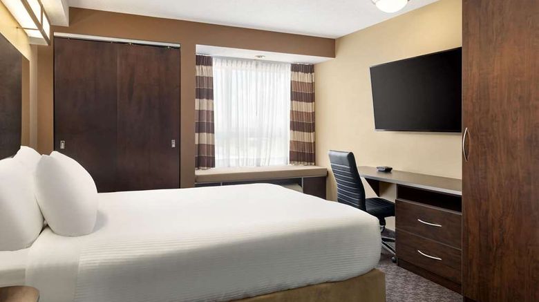 <b>Microtel Inn and Suites Estevan Room</b>. Images powered by <a href="https://iceportal.shijigroup.com/" title="IcePortal" target="_blank">IcePortal</a>.