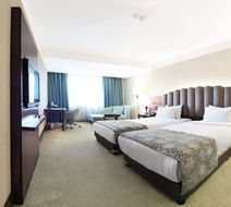 Ramada Plaza Malatya Altin Kayisi Room
