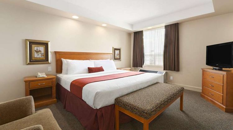 Travelodge Spruce Grove Room