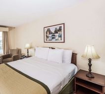 Baymont Inn & Suites Valdosta Room