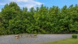 Baymont Inn & Suites, Forest City Other