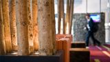 Radisson Blu Hotel & Conference Centre Lobby