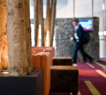 Radisson Blu Hotel & Conference Centre Lobby