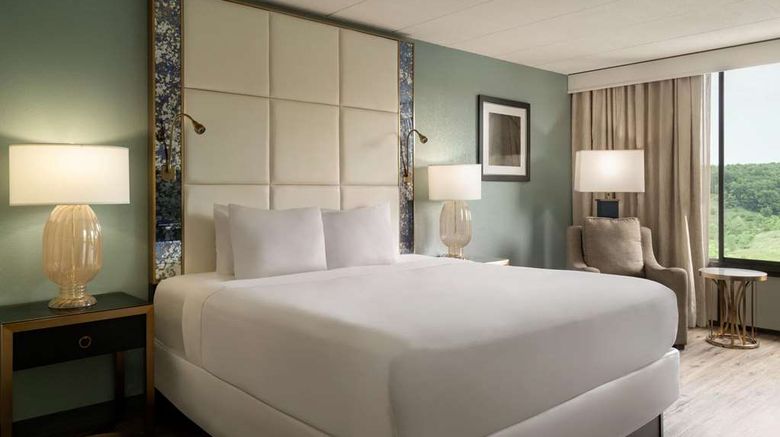 <b>Wyndham Garden Pittsburgh Airport Room</b>. Images powered by <a href="https://iceportal.shijigroup.com/" title="IcePortal" target="_blank">IcePortal</a>.