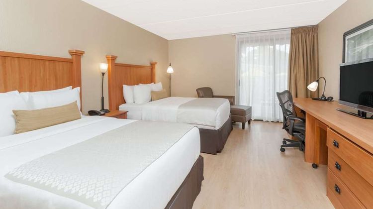 Wyndham Garden Austin Room