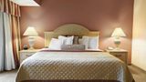 Wyndham El Paso Airport Hotel Room