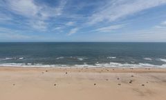 Wyndham Virginia Beach Oceanfront