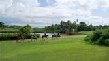 Wyndham Palmas Beach and Golf Resort Recreation