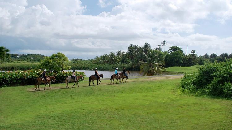 Wyndham Palmas Beach and Golf Resort Recreation