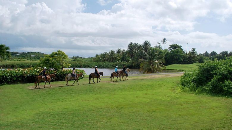 <b>Wyndham Palmas Beach and Golf Resort Recreation</b>. Images powered by <a href="https://iceportal.shijigroup.com/" title="IcePortal" target="_blank">IcePortal</a>.