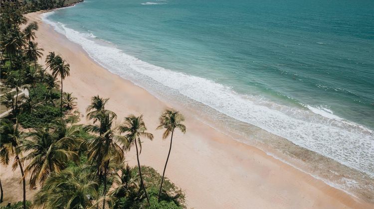 Wyndham Palmas Beach and Golf Resort Beach