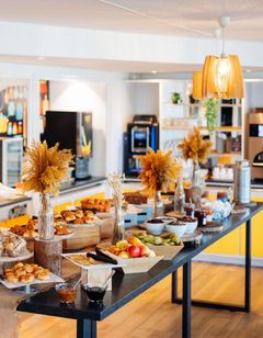 Ibis Styles Lyon Sud Vienne