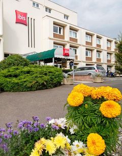 Ibis Belfort