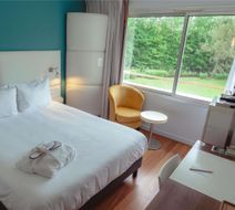 Mercure Brive Room