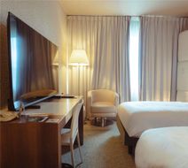 Mercure Brive Room