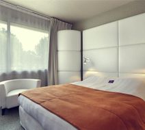 Mercure Brive Room